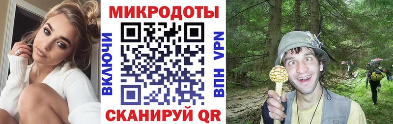 Купить  Дзержинский  Псилоцибиновые грибы мухоморы 